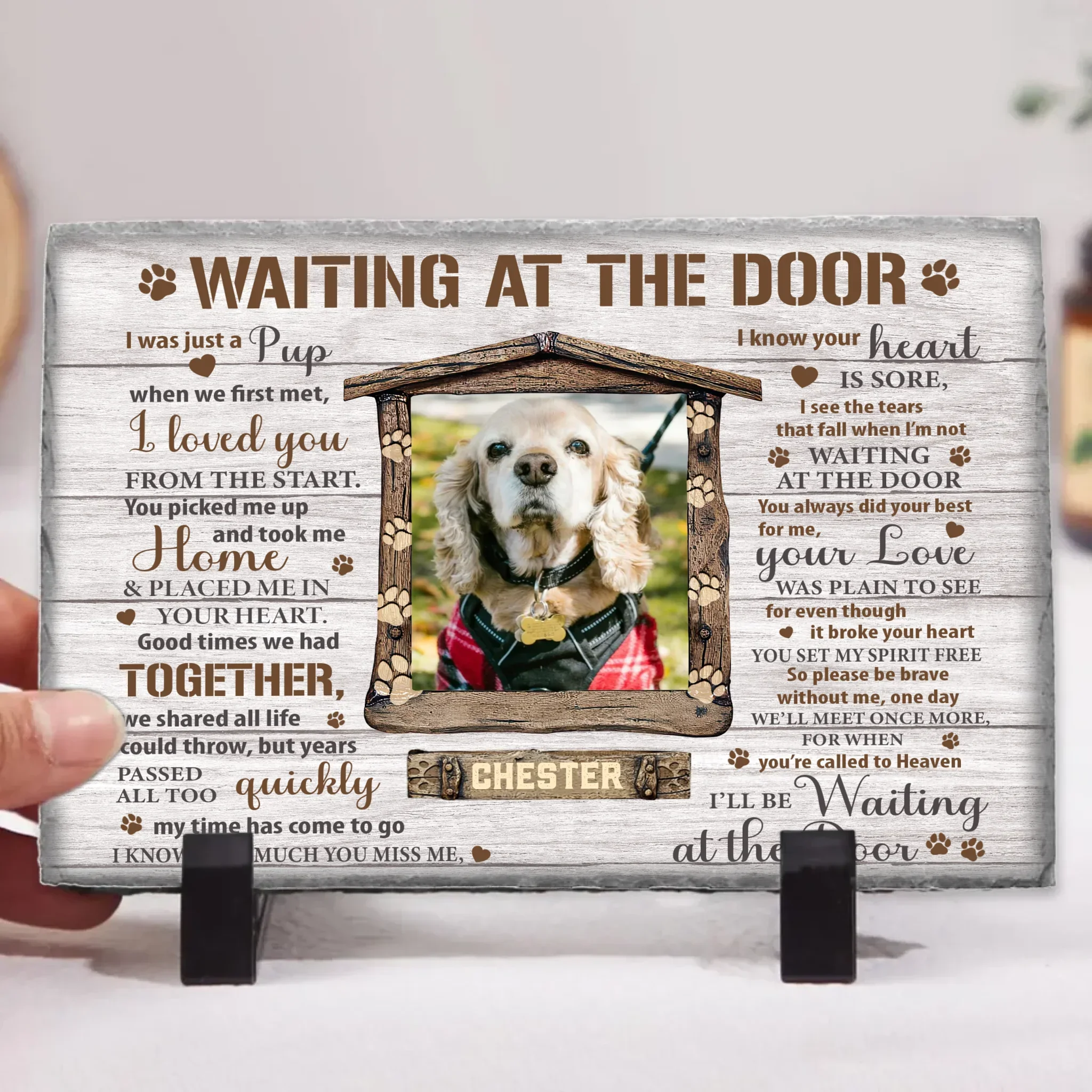 Still Waiting at the Door – A Song for Anyone Who’s Lost a Beloved Dog