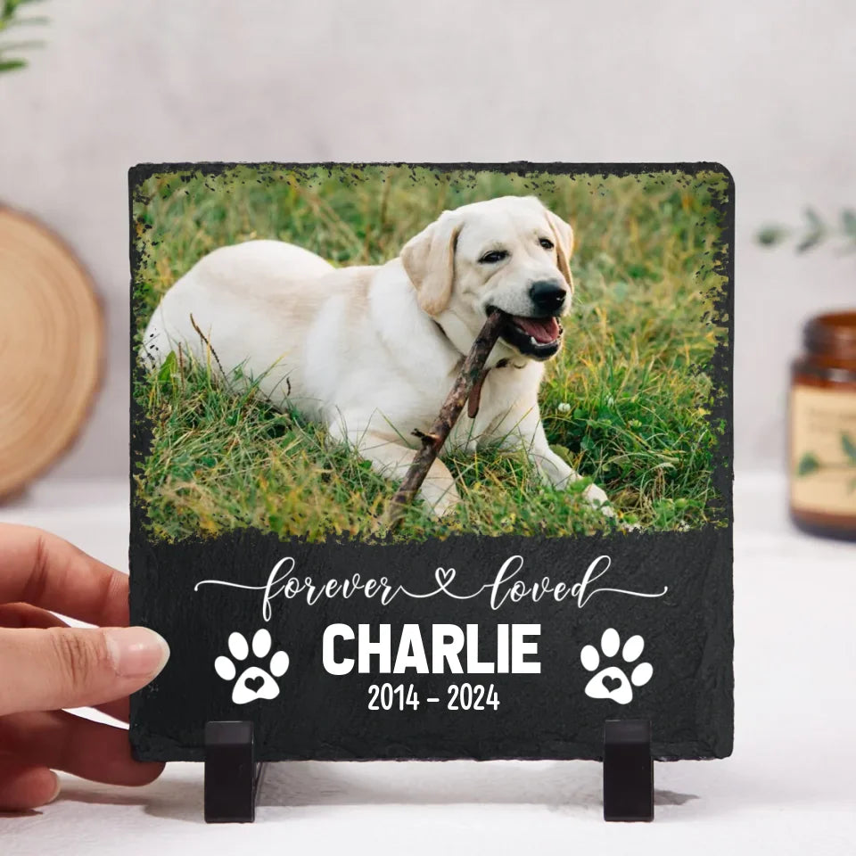 Gifts For Someone Who Lost A Dog gifts-for-someone-who-lost-a-dog