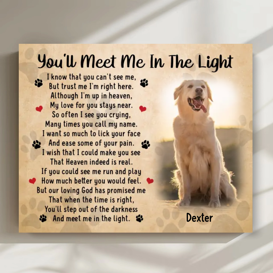 Comfort for the Loss of a Dog: Heartfelt Condolences – "You'll Meet Me in the Light"