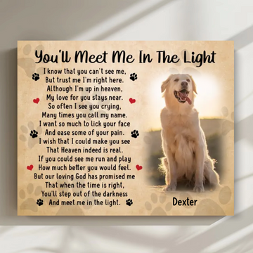 Comfort for the Loss of a Dog: Heartfelt Condolences – "You'll Meet Me in the Light"