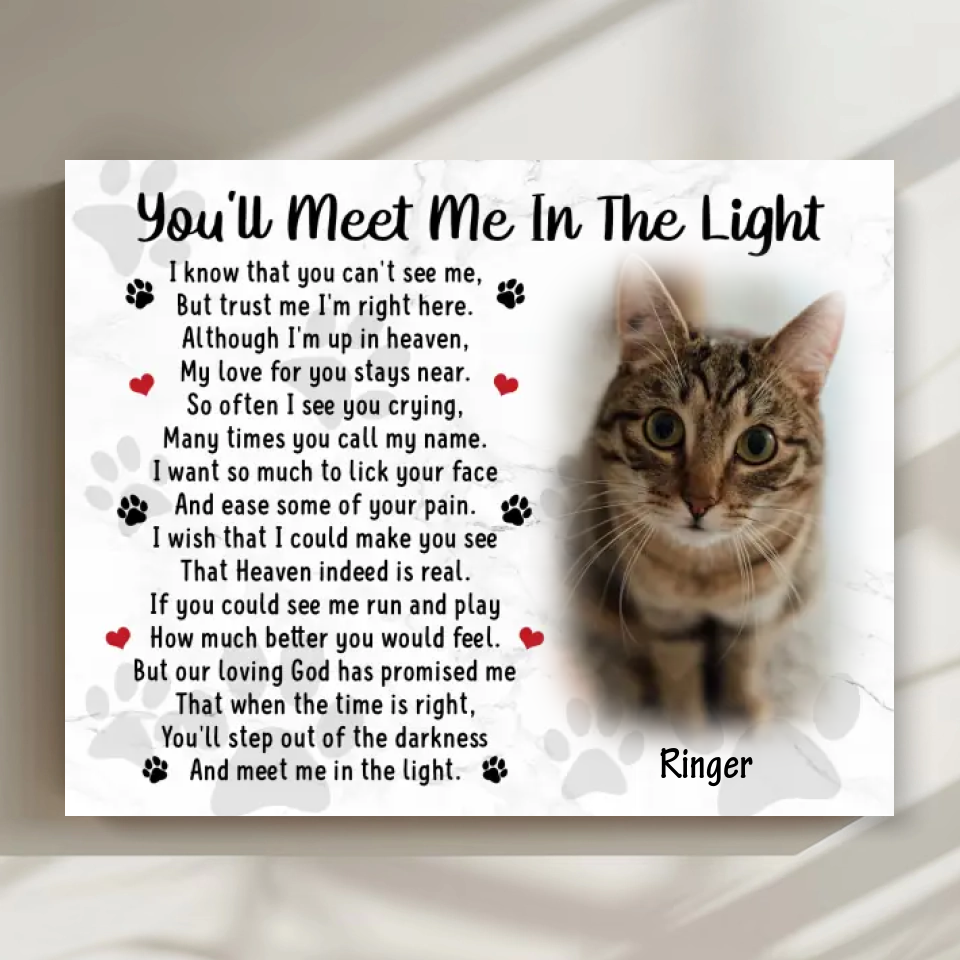 Cat Poem After Death: "You'll Meet Me In The Light"