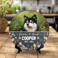 Circle-Stone---Garden-Mockup