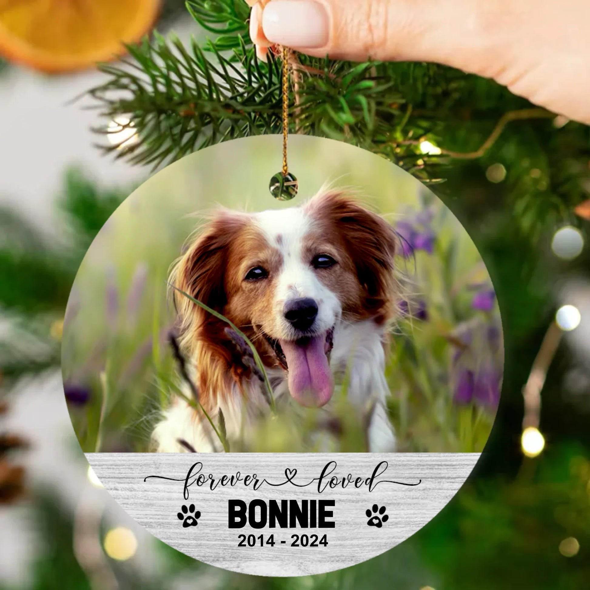 Ornament-Mockup-2
