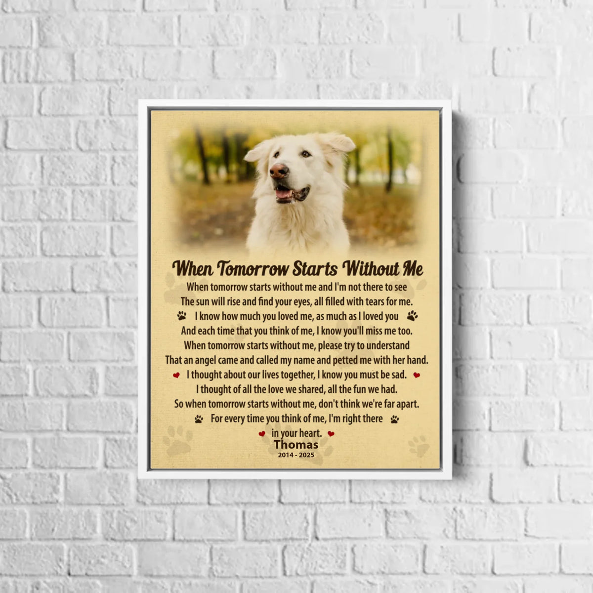 white-framed-canvas-8x10-MK