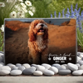 Stone---Garden-Mockup-Cover