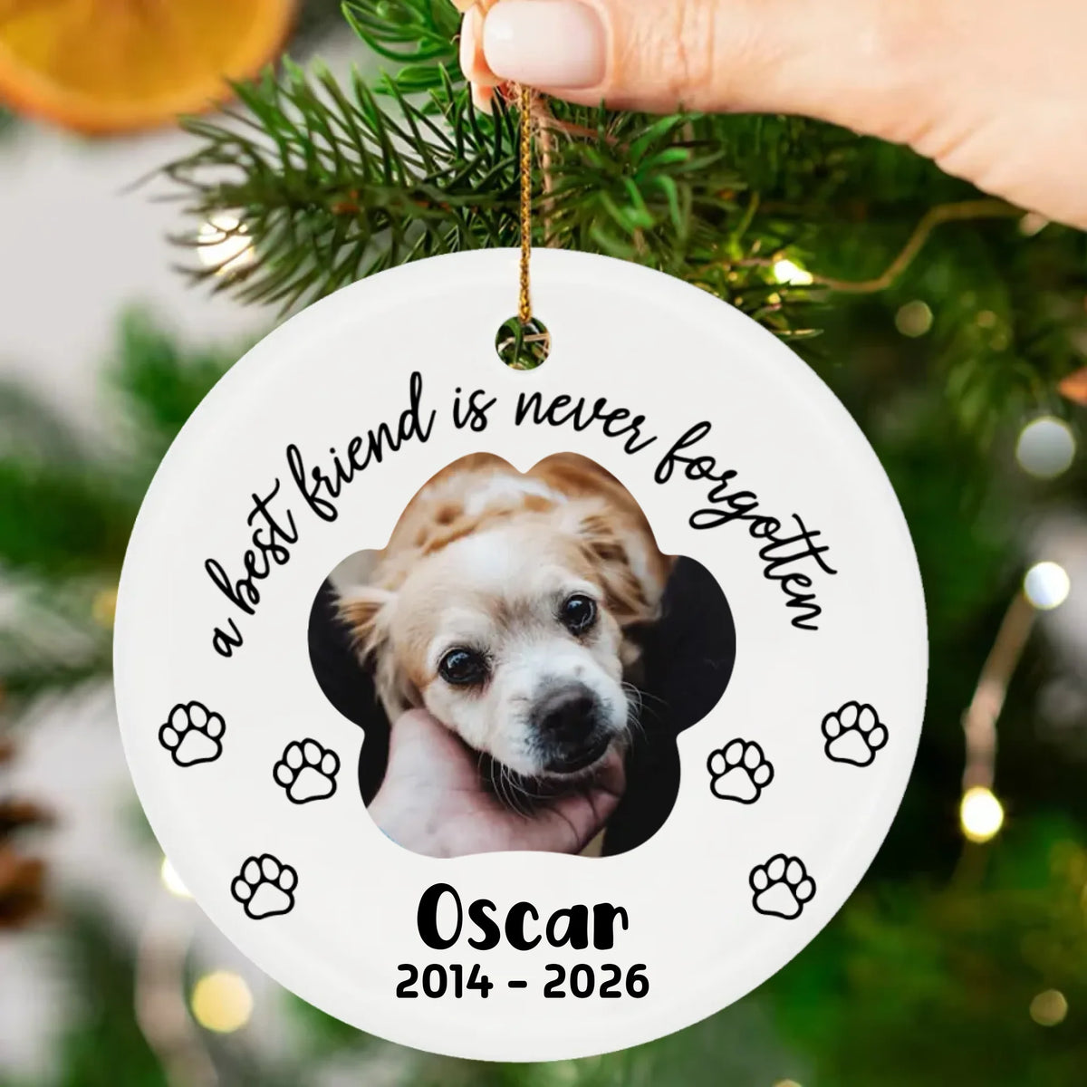 Ornament-Mockup-2